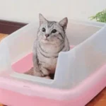 Здоровый эгоизм