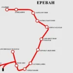 Интересные факты о жирафах